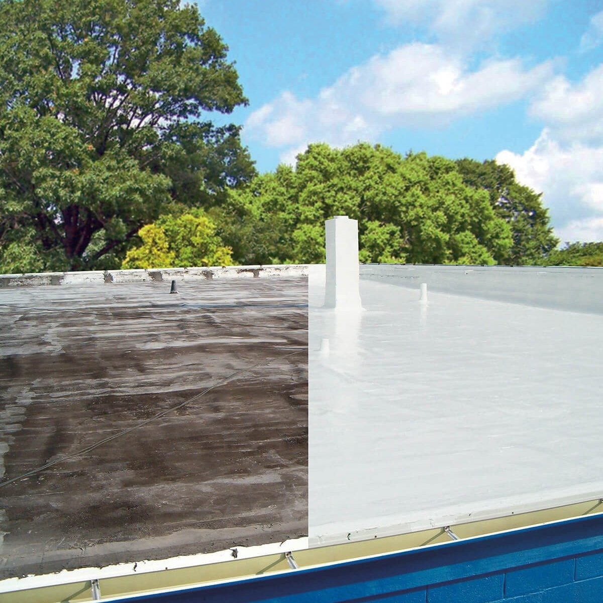 Silicone Coating Hawthorne